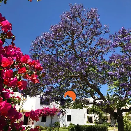 Apartment #122 T1 Aconchegante Em By Holidays
